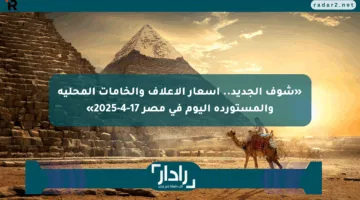 «شوف الجديد.. أسعار الأعلاف والخامات المحلية والمستوردة اليوم في مصر 17-4-2025»